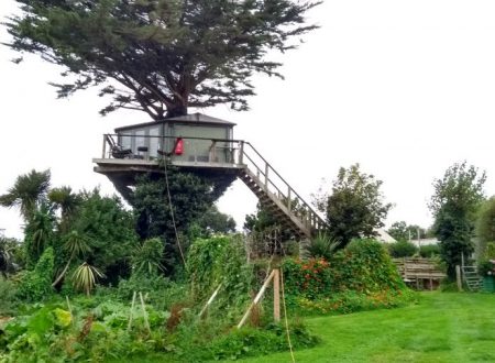 Bude weddings - Atlantic farm weddings